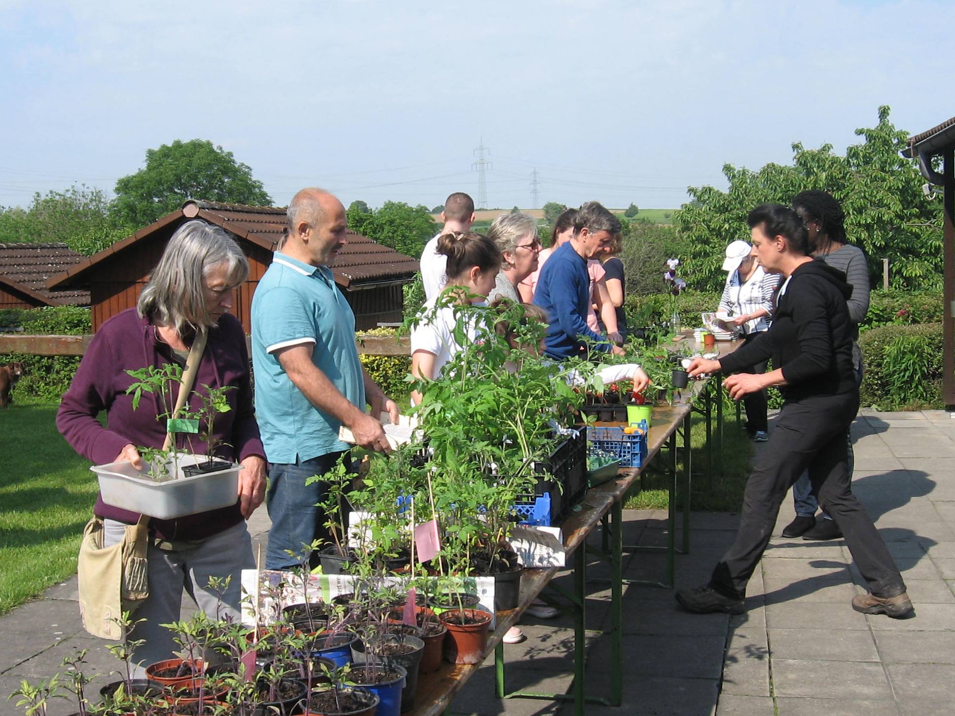 32+ Asl Gartenanlagen Ammersbek, Company data asl ammersbeker sport